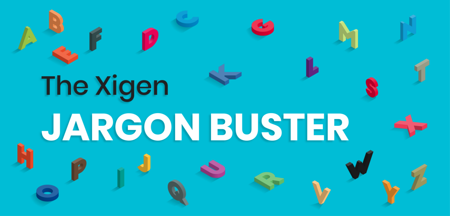 The Xigen Jargon Buster